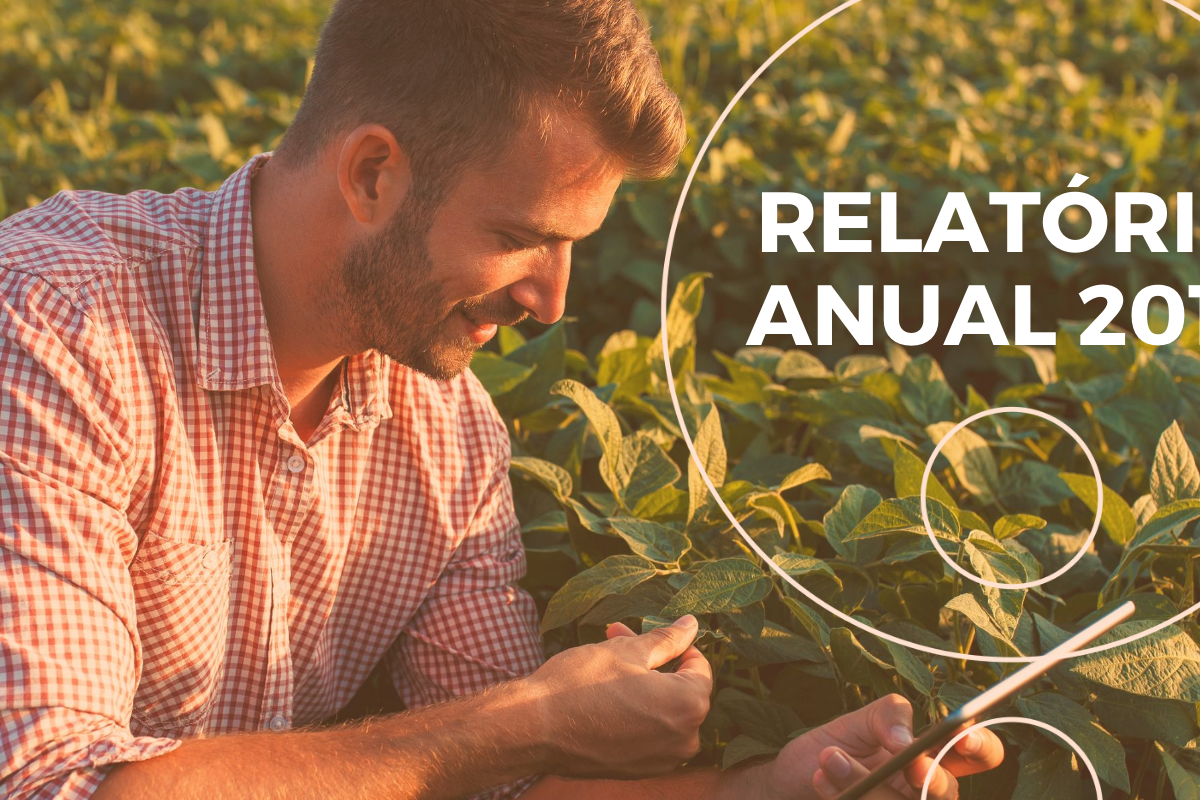 Imagem: Relatório Anual 2019